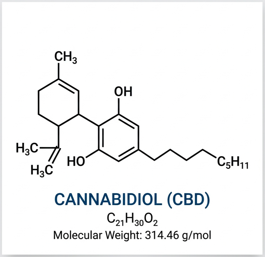 Was ist CBD? Eine kurze Definition - Seedcity.de