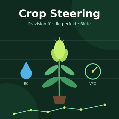 Crop Steering im Homegrow: Anleitung für bessere Blüten