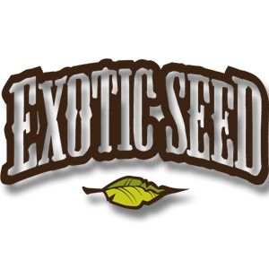 exotic seed cannabis samen kaufen