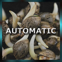 Automatic Seeds