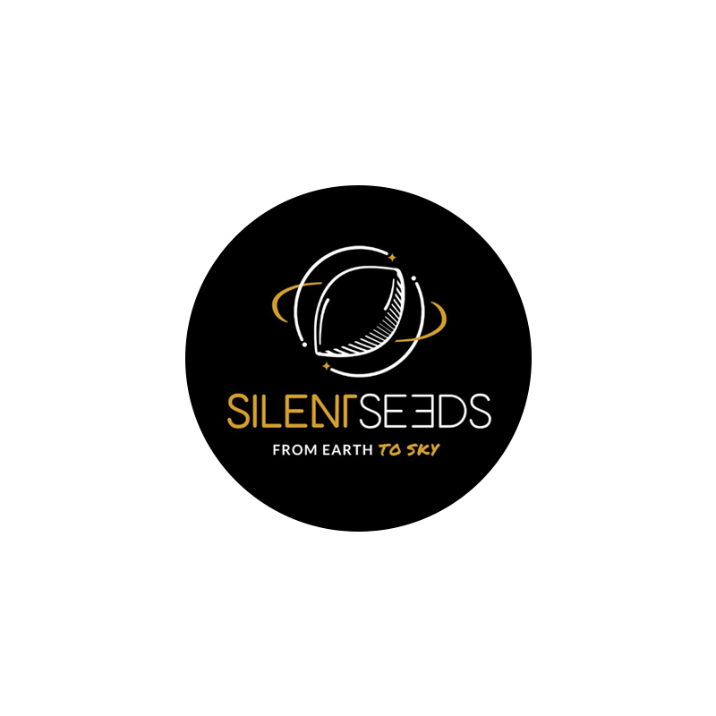 Silent Seeds Cannabis Samen kaufen 