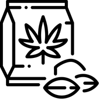 CBD Seeds