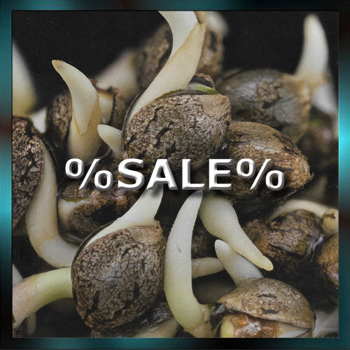 %SALE%