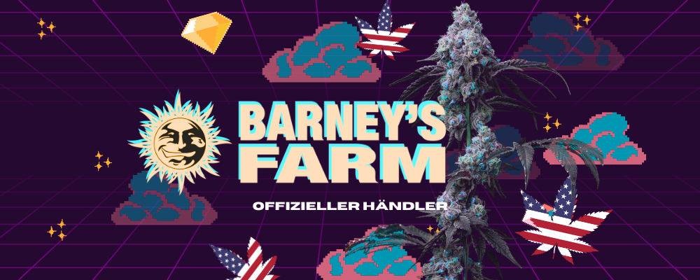 Barneys Farm Samen kaufen 