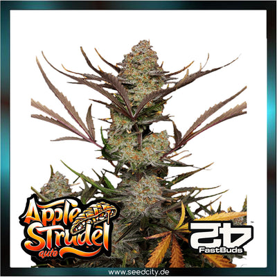 Fastbuds - APPLE STRUDEL AUTO™ - Automatic