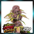 Fastbuds - LEMON CHERRY COOKIES AUTO™ - Automatic