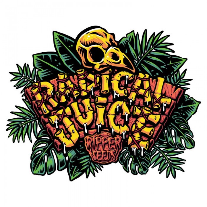 Ripper Seeds - RADICAL JUICE - feminized