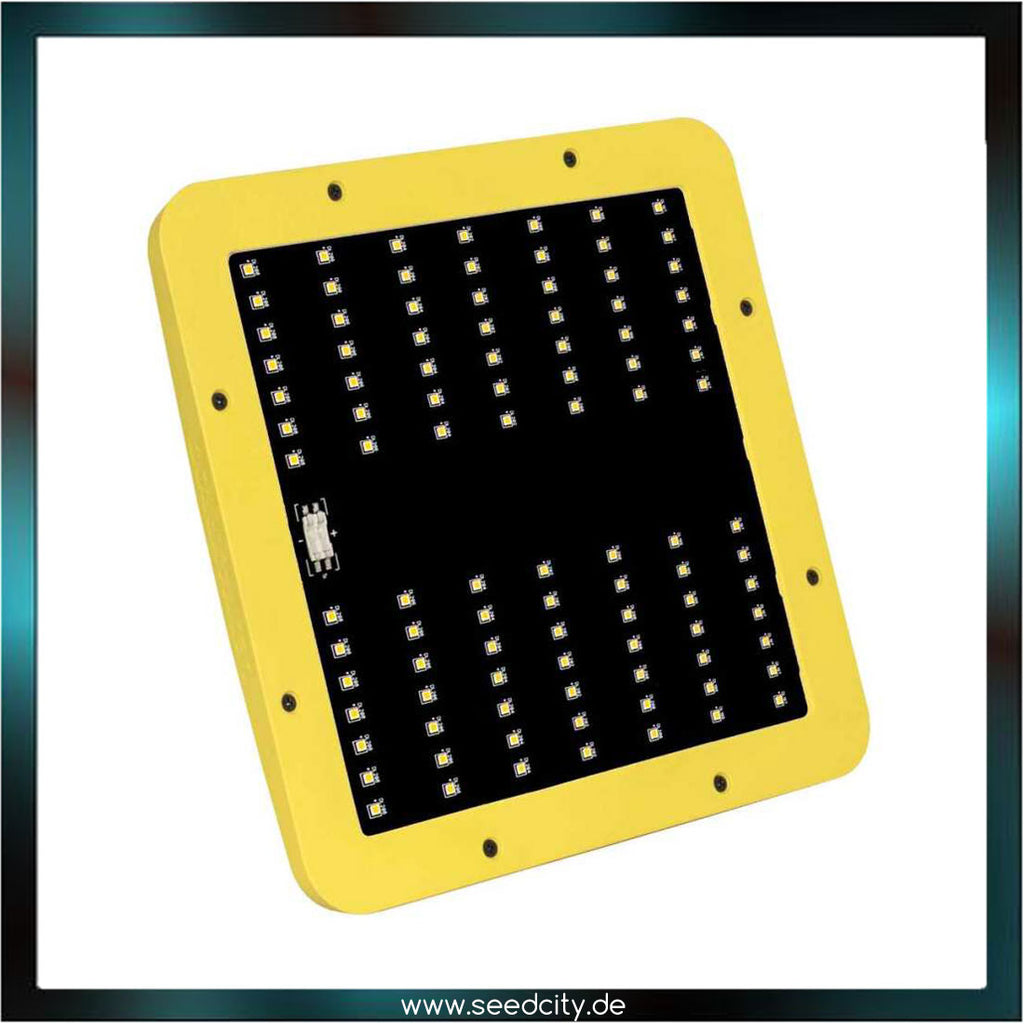 GARDEN HIGHPRO - LEDMAXECO 60W - LED Pflanzenlampe