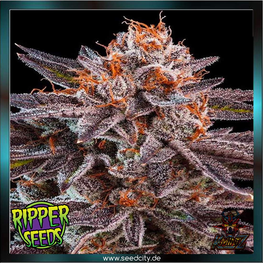 Ripper Seeds - K-MINTZ - Automatic