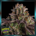 Ripper Seeds - K-MINTZ - feminized