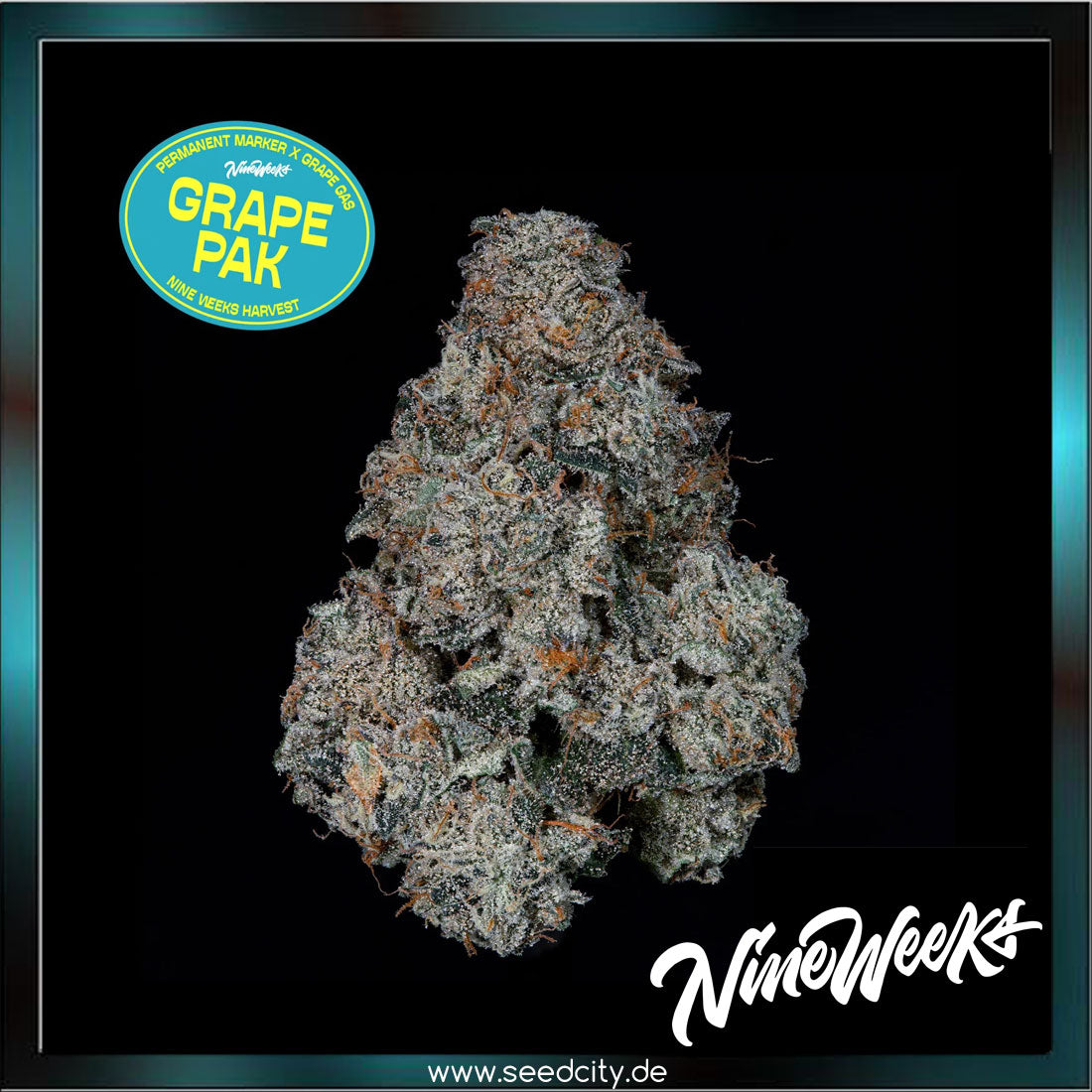 Nine Weeks Harvest - GRAPE PAK - feminized