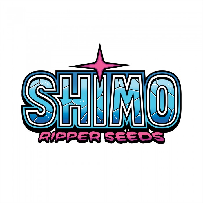 Ripper Seeds - SHIMO - feminized
