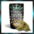 Lucky Hemp - Pineapple Punch CBD - Cali Pack