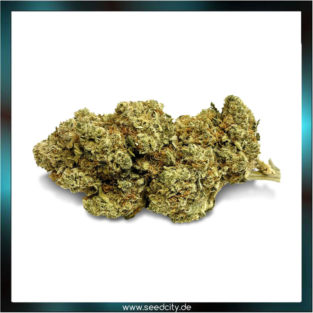 Lucky Hemp - Mellow Cloud CBD - 1g Ökopack