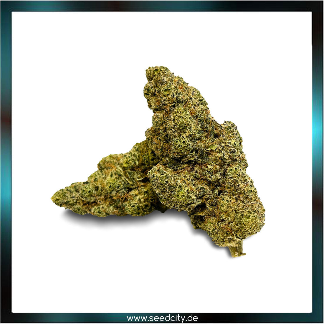Lucky Hemp - Galactic Green - Cali Pack