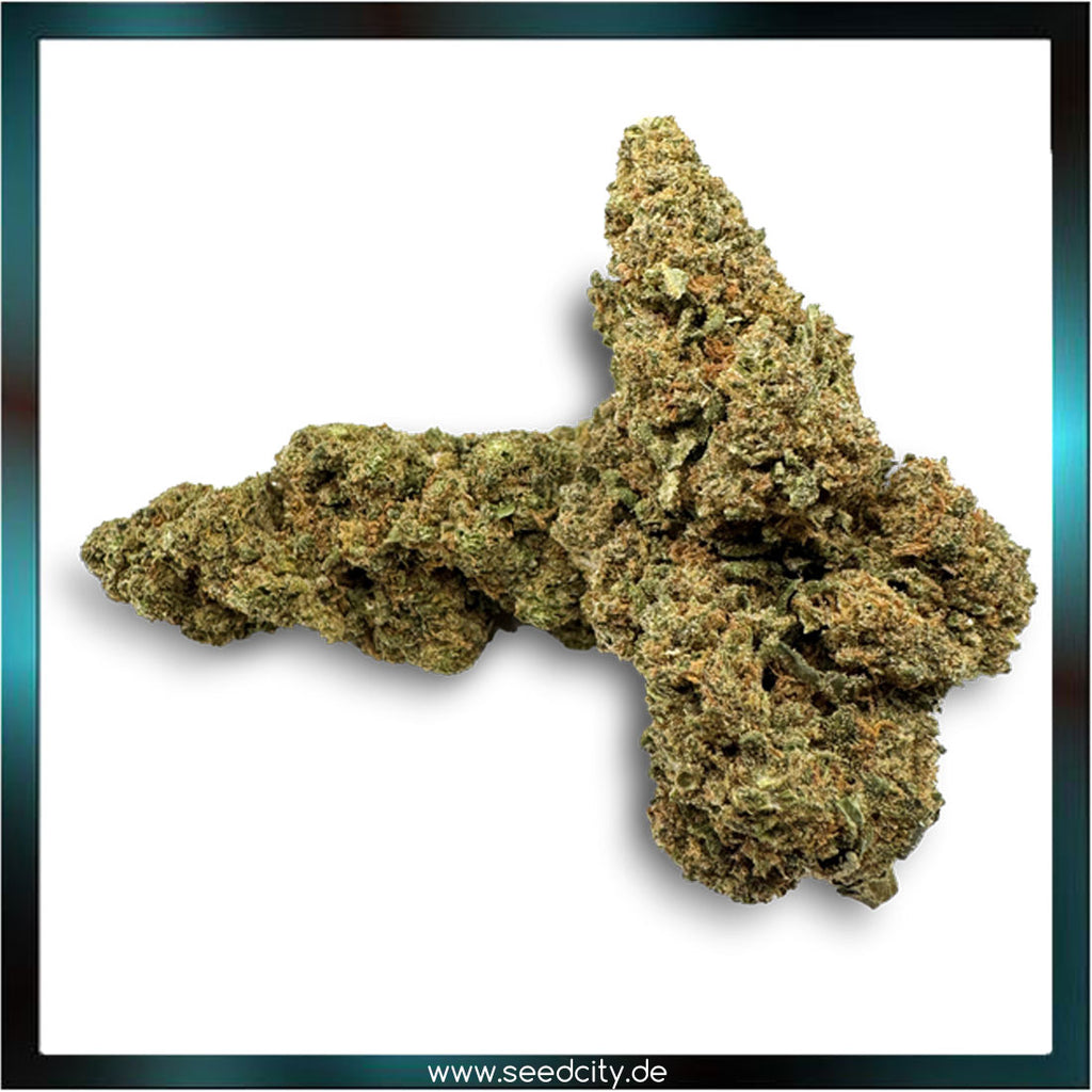 Lucky Hemp - Banana Runtz CBD - 3g Ökopack