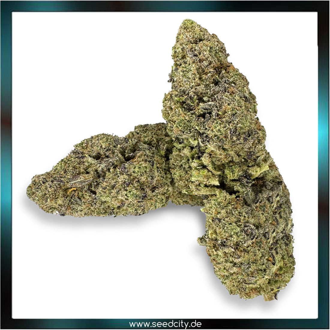 Lucky Hemp - Purple Punch CBD - 2g Ökopack