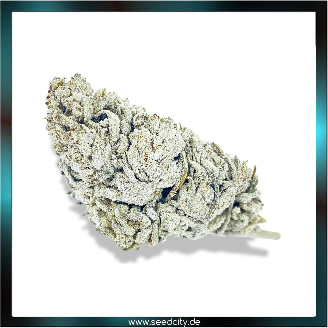 Lucky Hemp - Snow Haze CBD 40% - 1g Ökopack