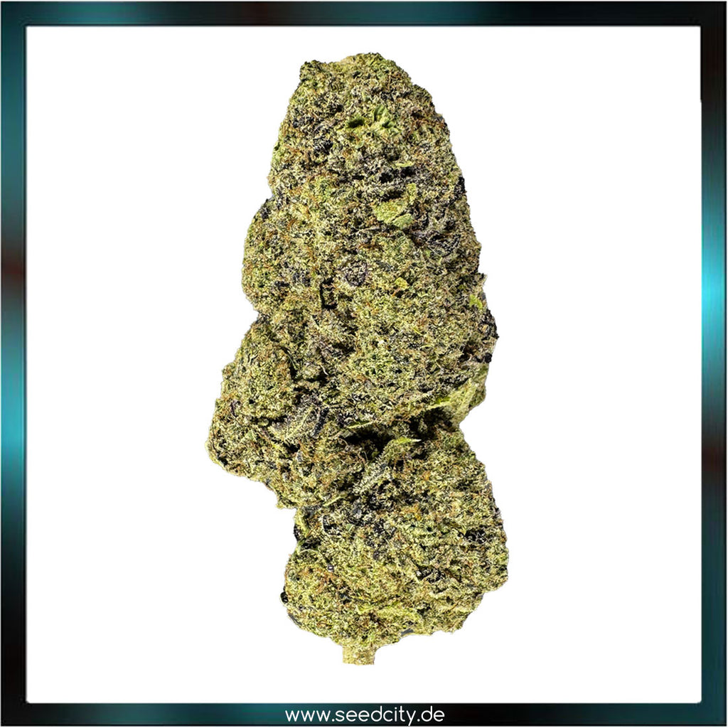 Lucky Hemp - Purple Punch CBD - 1g Ökopack