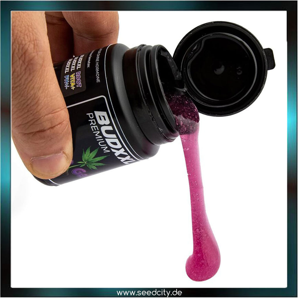 BUDXXL - Clone Gel - 80ml