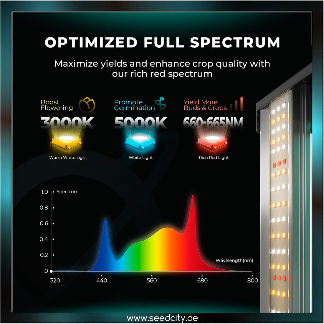 MARS HYDRO - FC 3000-EVO Samsung LM301H 300W - LED Pflanzenlampe