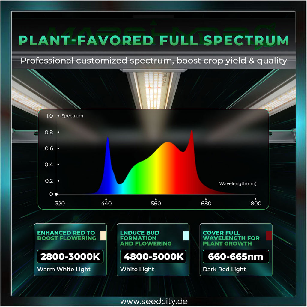 MARS HYDRO - FC-E3000 LED 300W Growbox Komplettset - 100x100x180cm