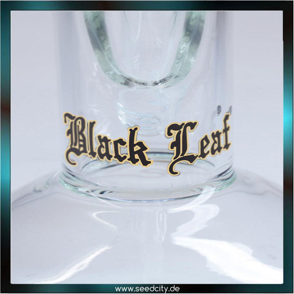 BLACK LEAF - Icebong mit 6-Arm Baumperkolator