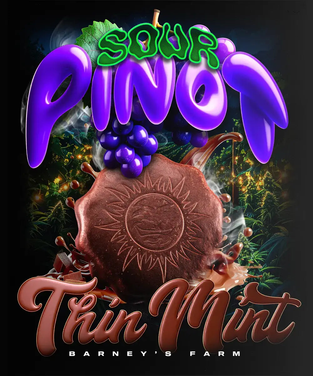 Thin Mint x Sour Pinot Auto by Barneys Farm