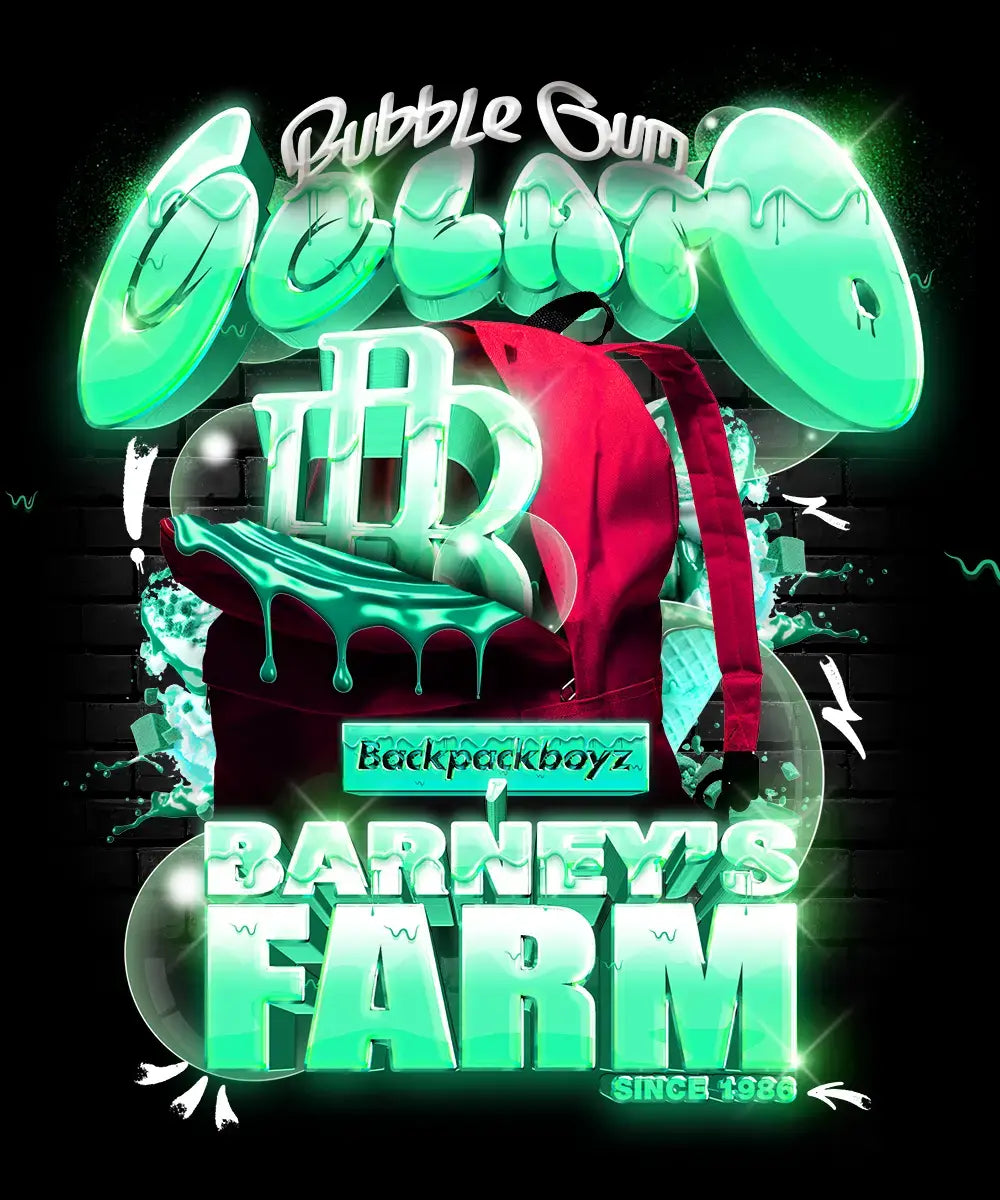 Bubblegum Gelato von Barney's Farm x BackPack Boyz