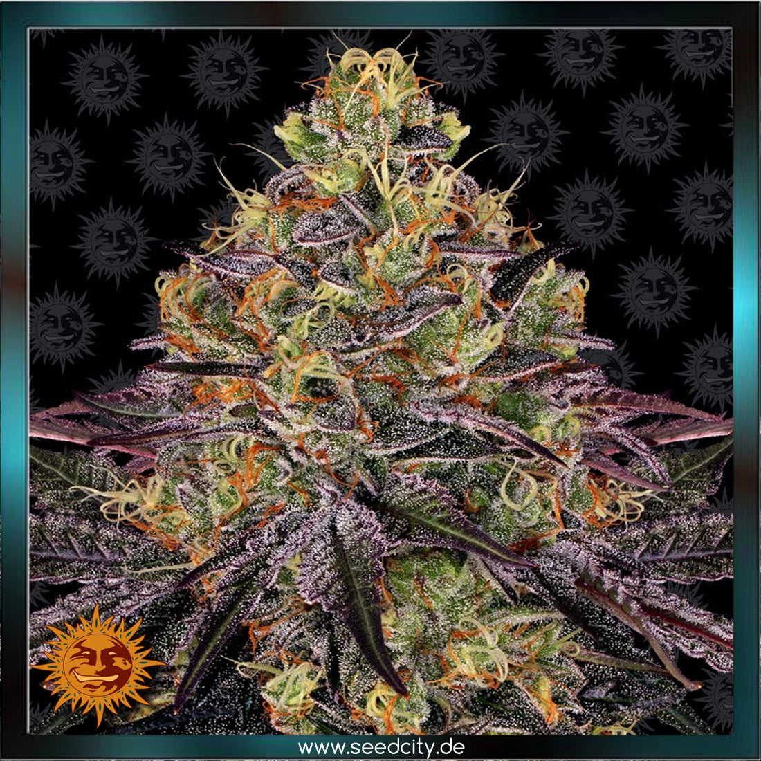 watermelon zkittlez