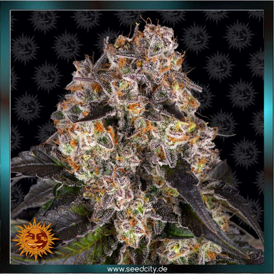 GIRL SCOUT COOKIES