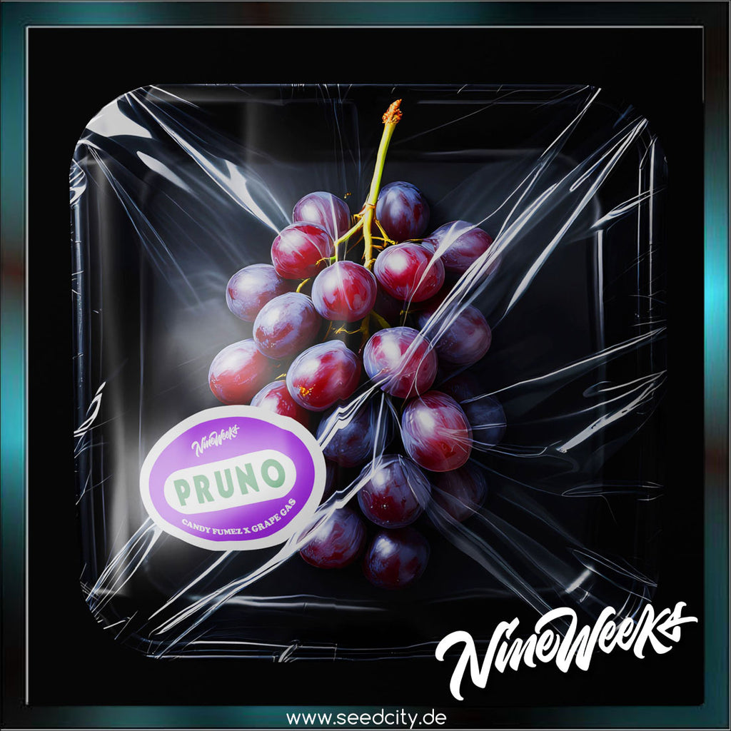 pruno by nine weeks harvest