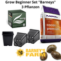 Grow Beginner Set - Barneys - 3 Pflanzen