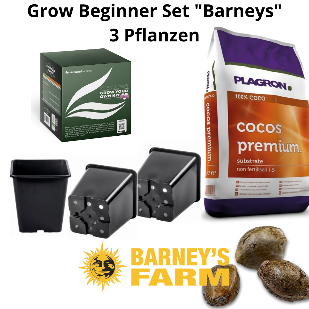 Grow Beginner Set - Barneys - 3 Pflanzen