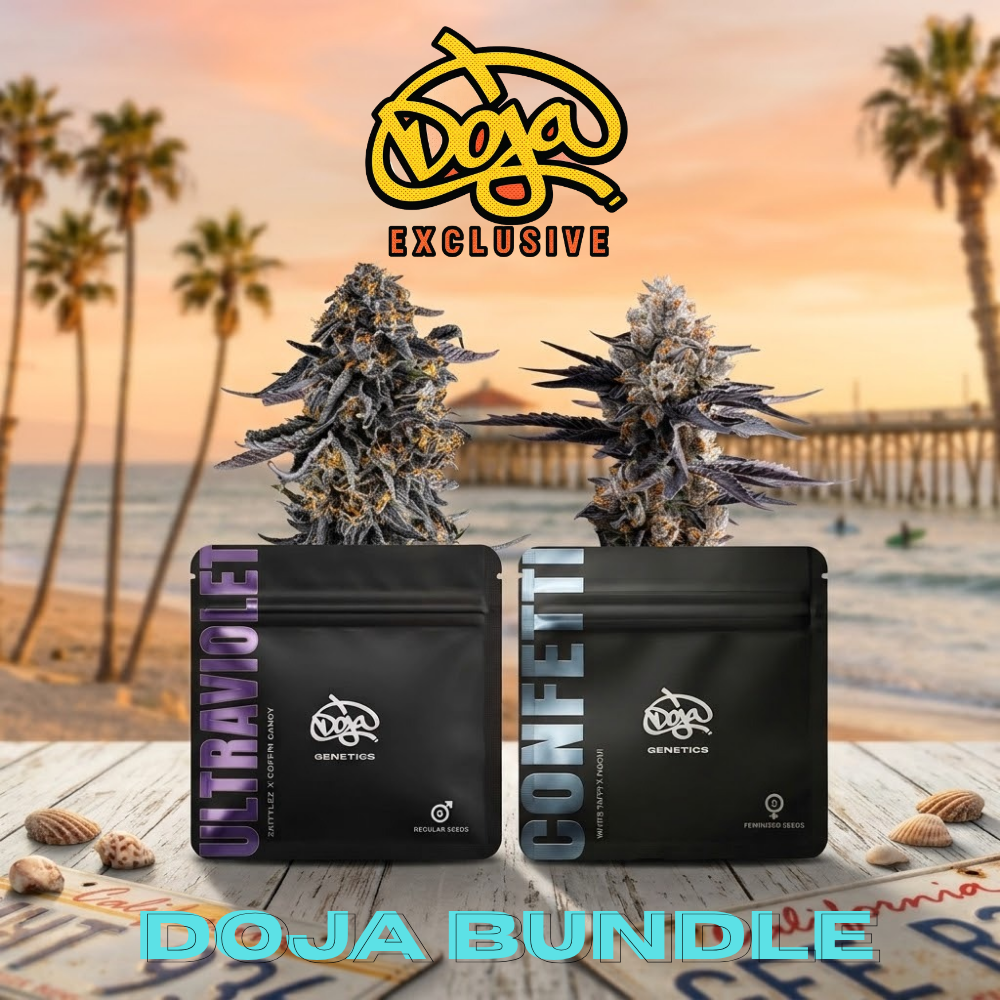 Doja Exclusive Bundle