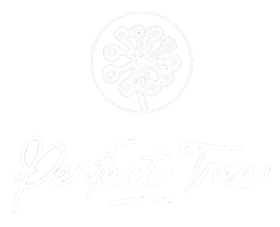 Perfect Tree Seeds 