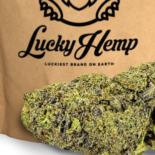 Grünes Pflanzenmaterial vor einer Packung mit der Aufschrift "Lucky Hemp".