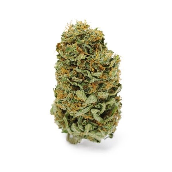 amnesia haze