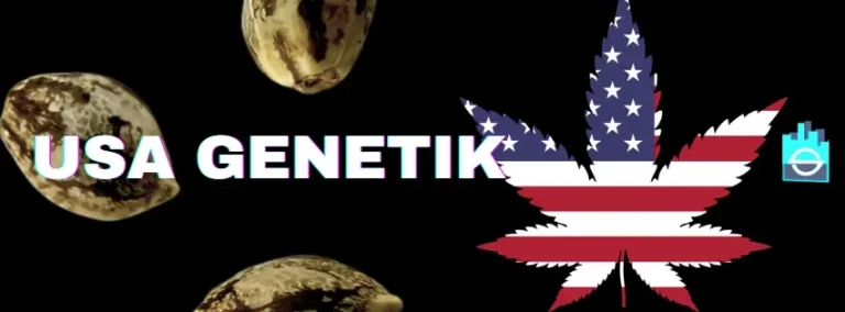 USA Genetics Cannabis Samen kaufen