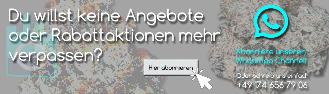 seedcity.de whatsapp channel