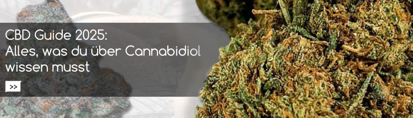 Cannabis Infoguide