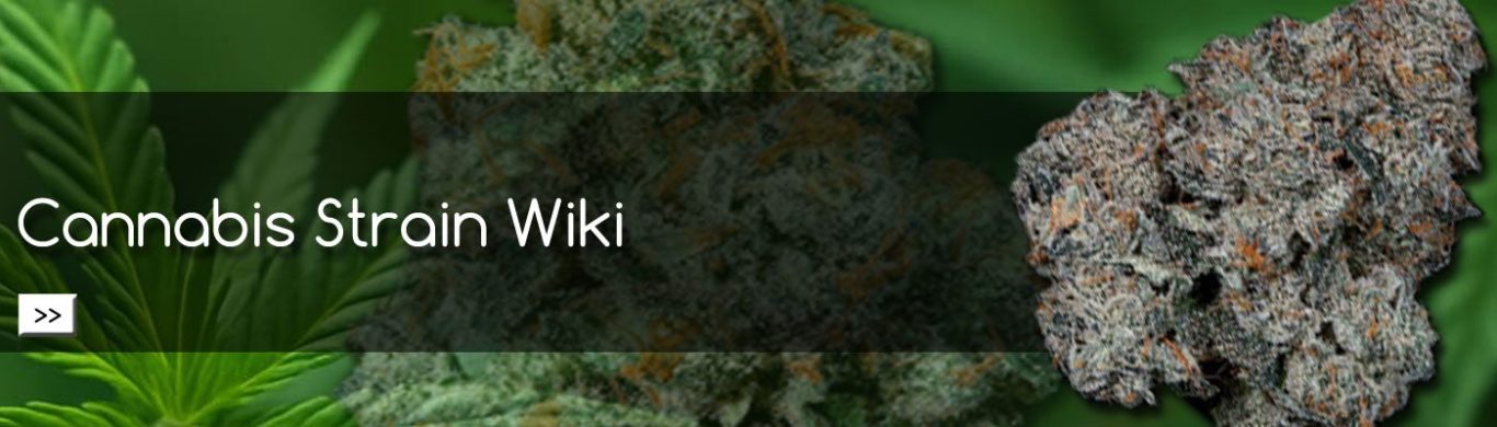 Cannabis Strain Wiki