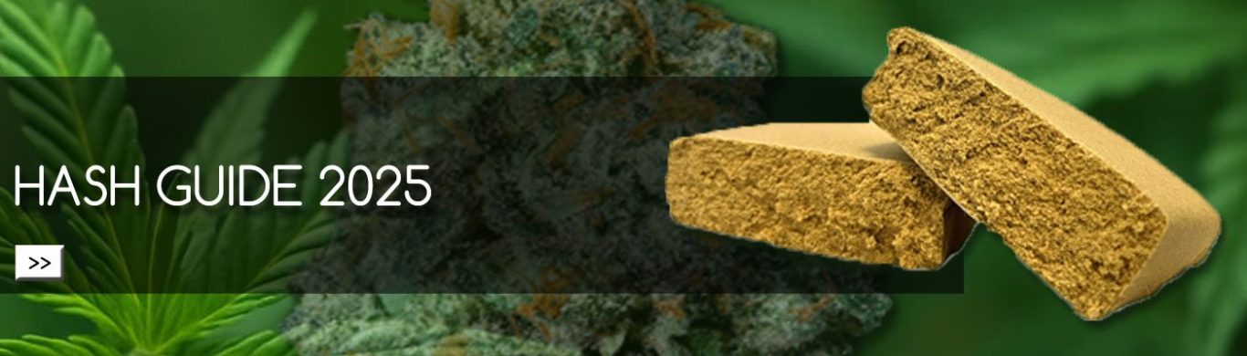 Cannabis Infoguide